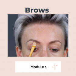 Make-Up Course Module 1: Brows