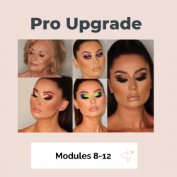 Make-Up Course Pro Upgrade - Modules 8-12